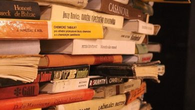 Photo of Преимущества изучения чешского языка